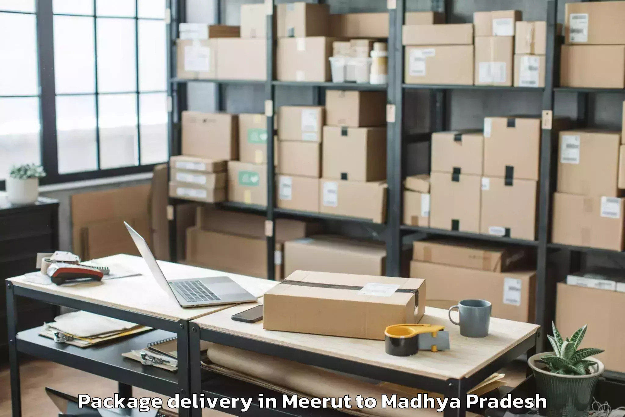 Trusted Meerut to Khandwa Package Delivery